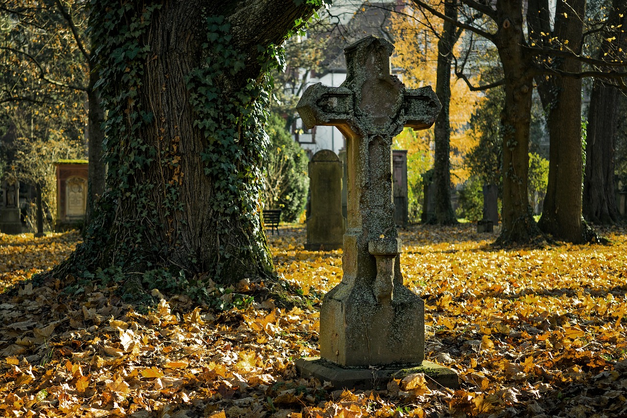 Cimitero di Martirano